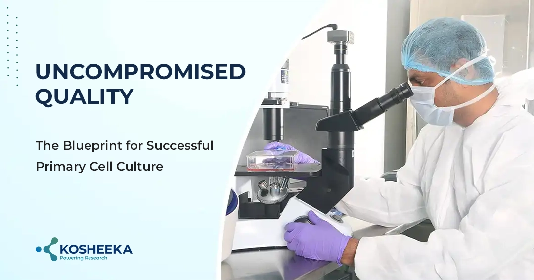 You are currently viewing Uncompromised Quality: The Blueprint for Successful Primary Cell Culture