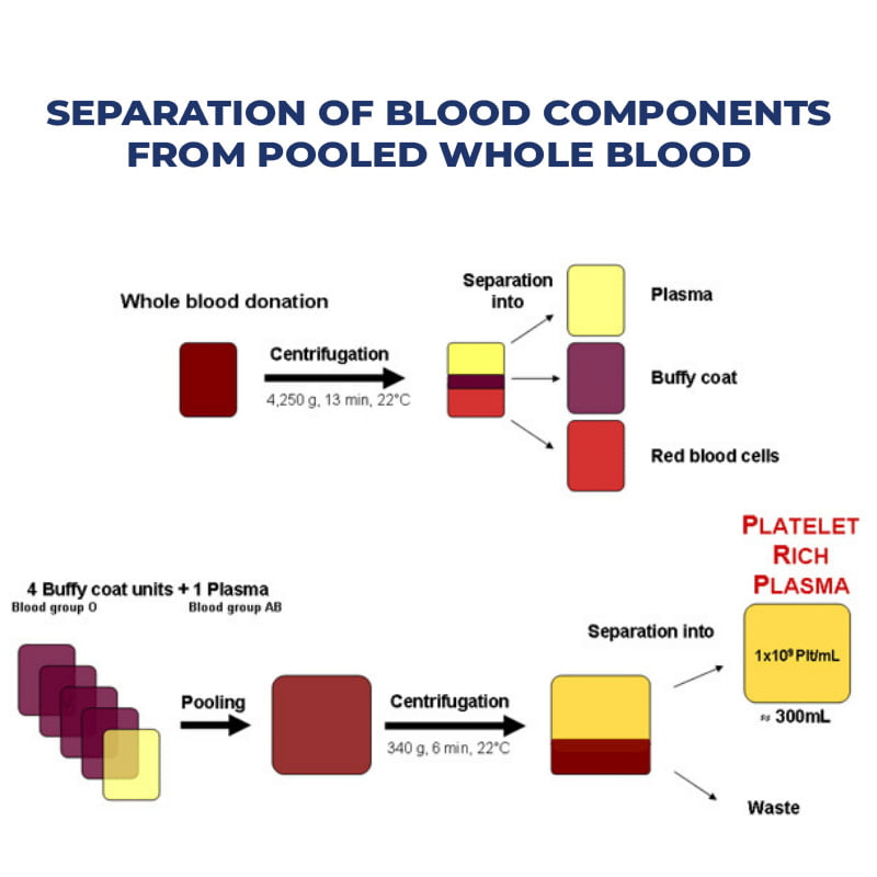 Separation of whole blood | Kosheeka