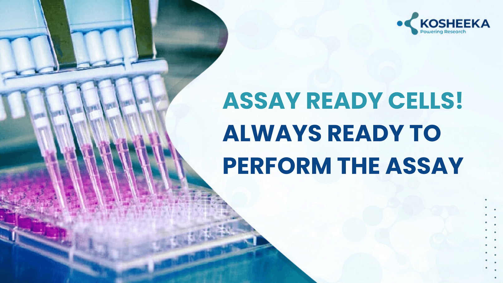 You are currently viewing Assay Ready Cells! Always Ready to Perform the Assay