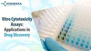 Read more about the article In Vitro Cytotoxicity Assays: Applications in Drug Discovery