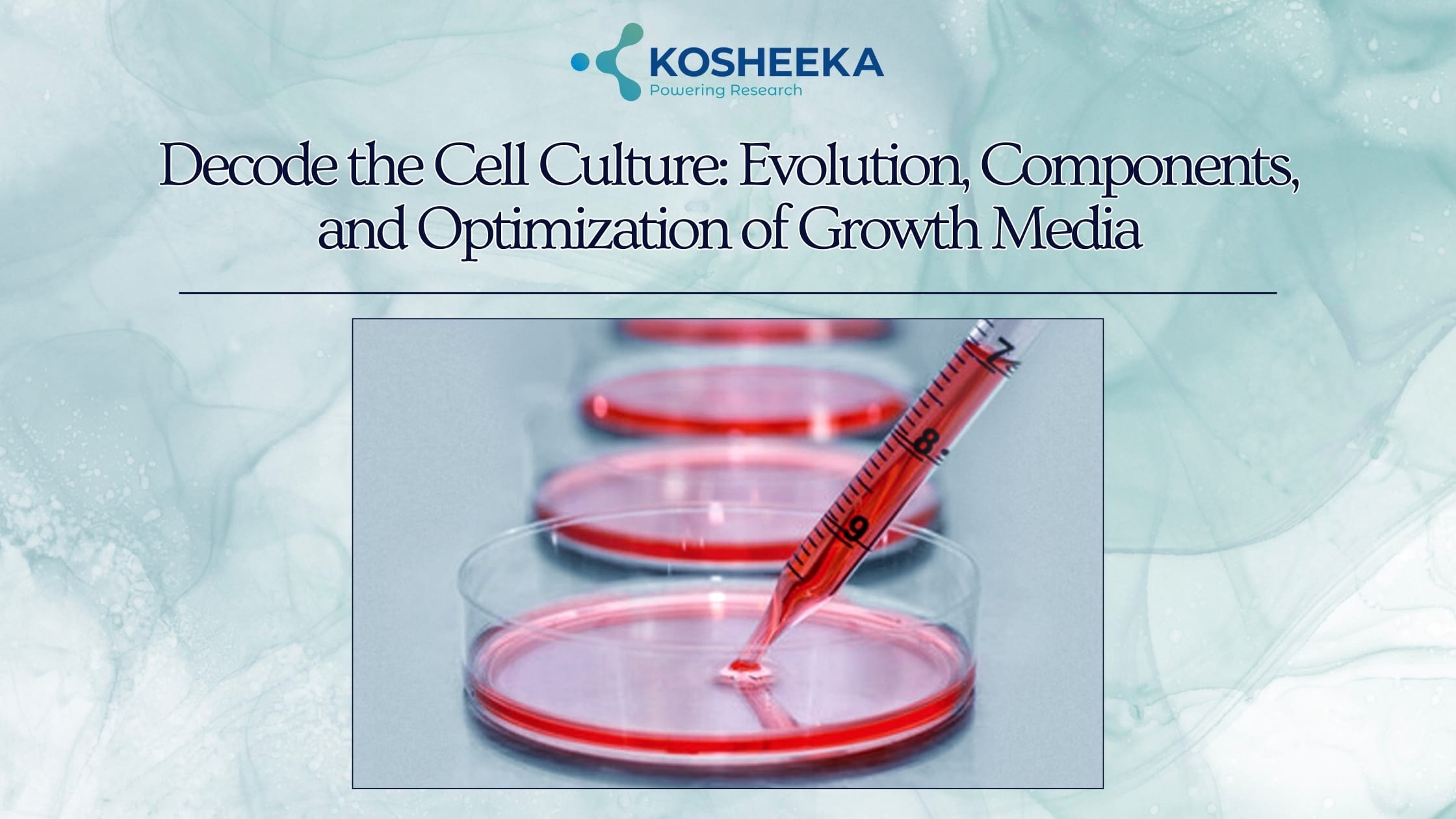 You are currently viewing Decoding Cell Culture: Evolution, Components & Media Optimization