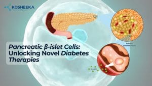 Read more about the article Pancreatic β-islet Cells: Unlocking Novel Diabetes Therapies