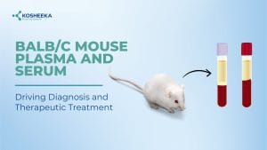 Read more about the article BALB/c Mouse Plasma and Serum in Diagnosis and Therapy