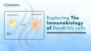 Read more about the article What Are Dendritic Cells and Their Role in Immunobiology?