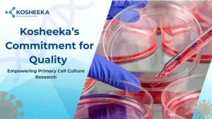 Read more about the article Kosheeka’s Quality Commitment: Advancing Primary Cell Culture Research