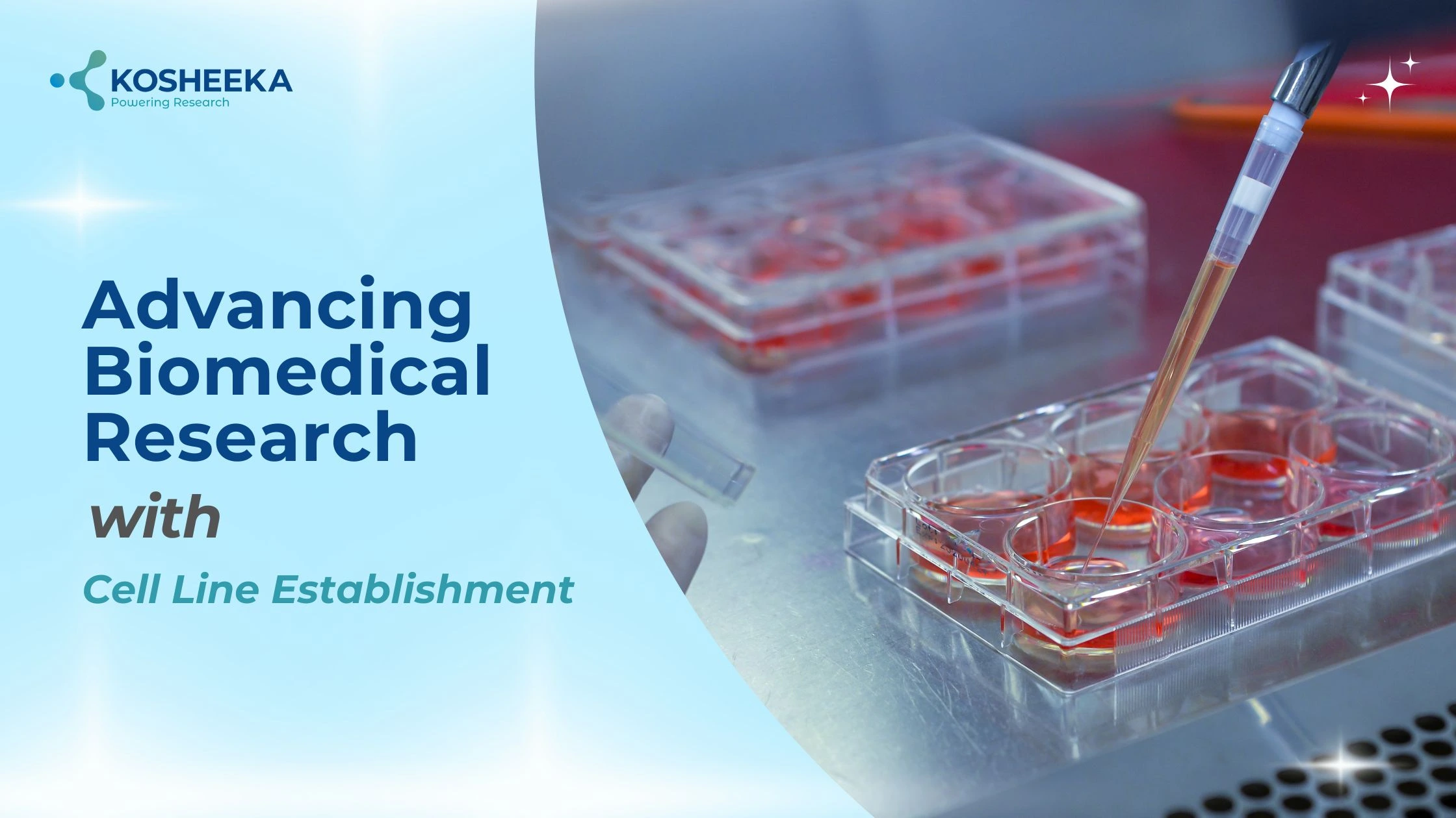 You are currently viewing Advancing Biomedical Research with Cell Line Establishment