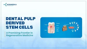 Read more about the article Dental Pulp Derived Stem Cells: A Promising Frontier in Regenerative Medicine