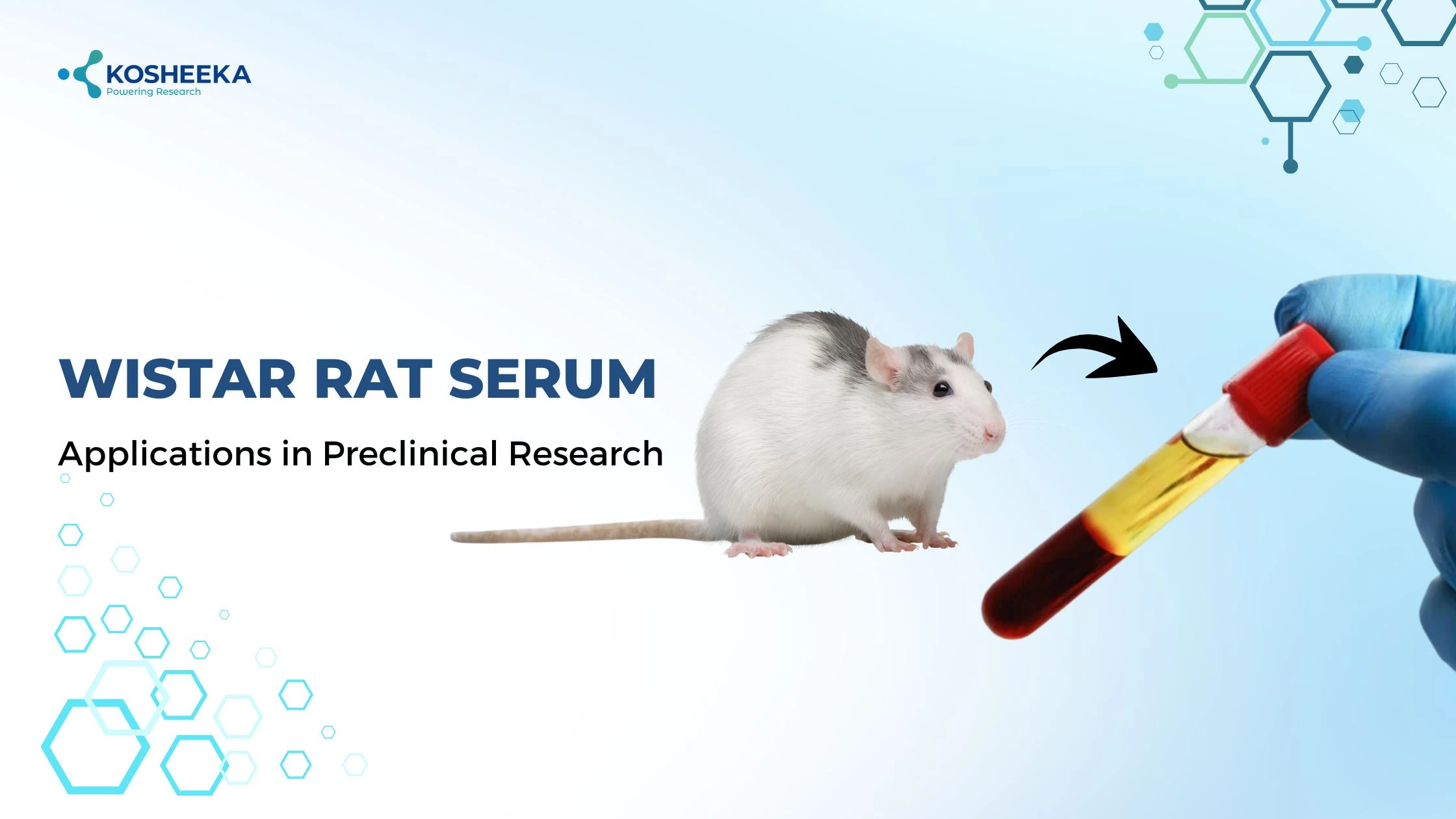 You are currently viewing Wistar Rat Serum: Applications in Preclinical Research