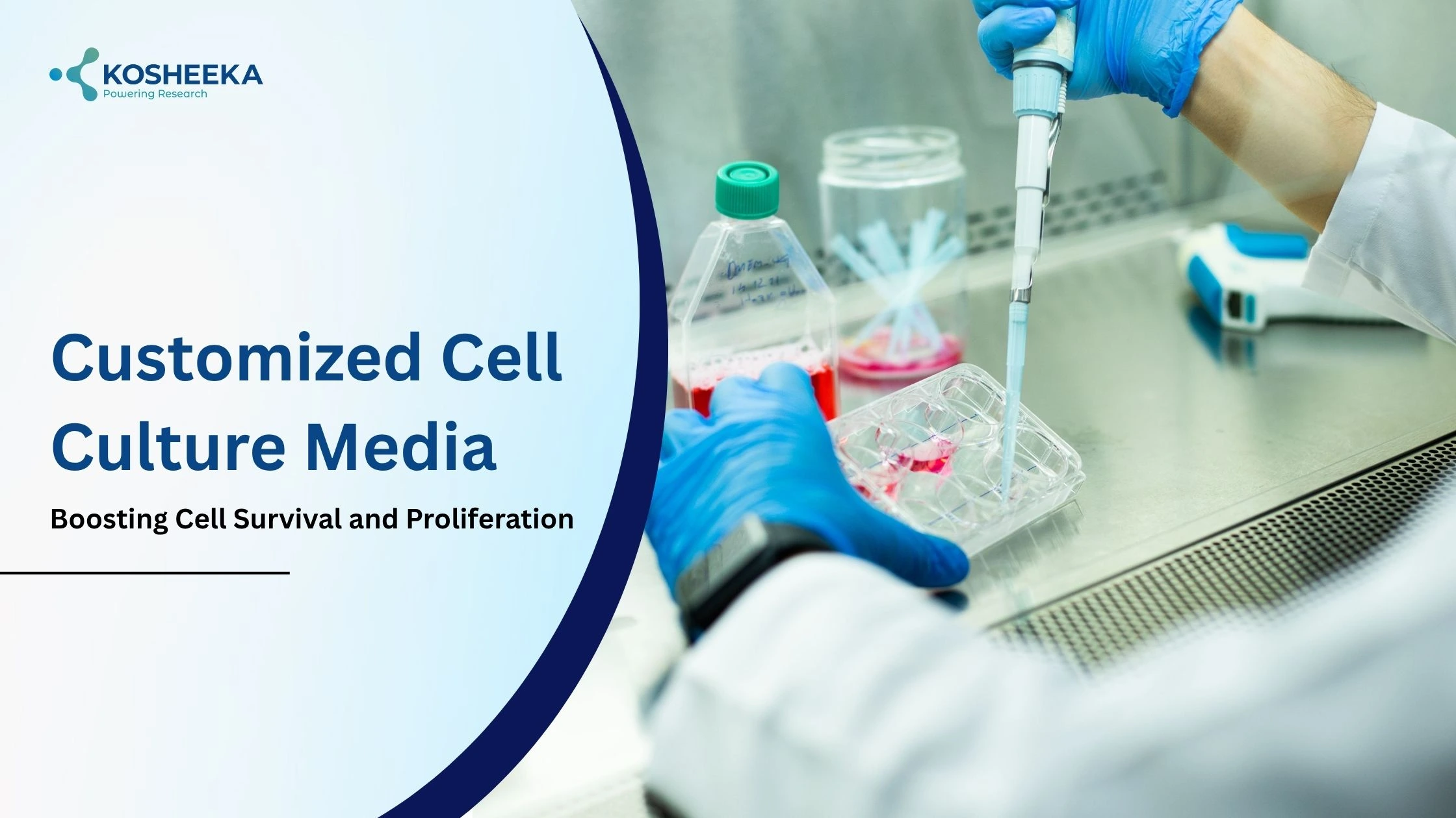 You are currently viewing Customized Cell Culture Media: Boosting Cell Survival and Proliferation