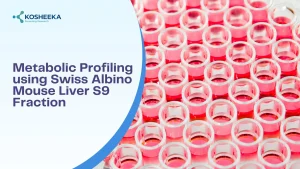 Read more about the article Metabolic Profiling using Swiss Albino Mouse Liver S9 Fraction