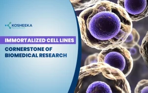 Read more about the article Immortalized Cell Lines: Cornerstone of Biomedical Research