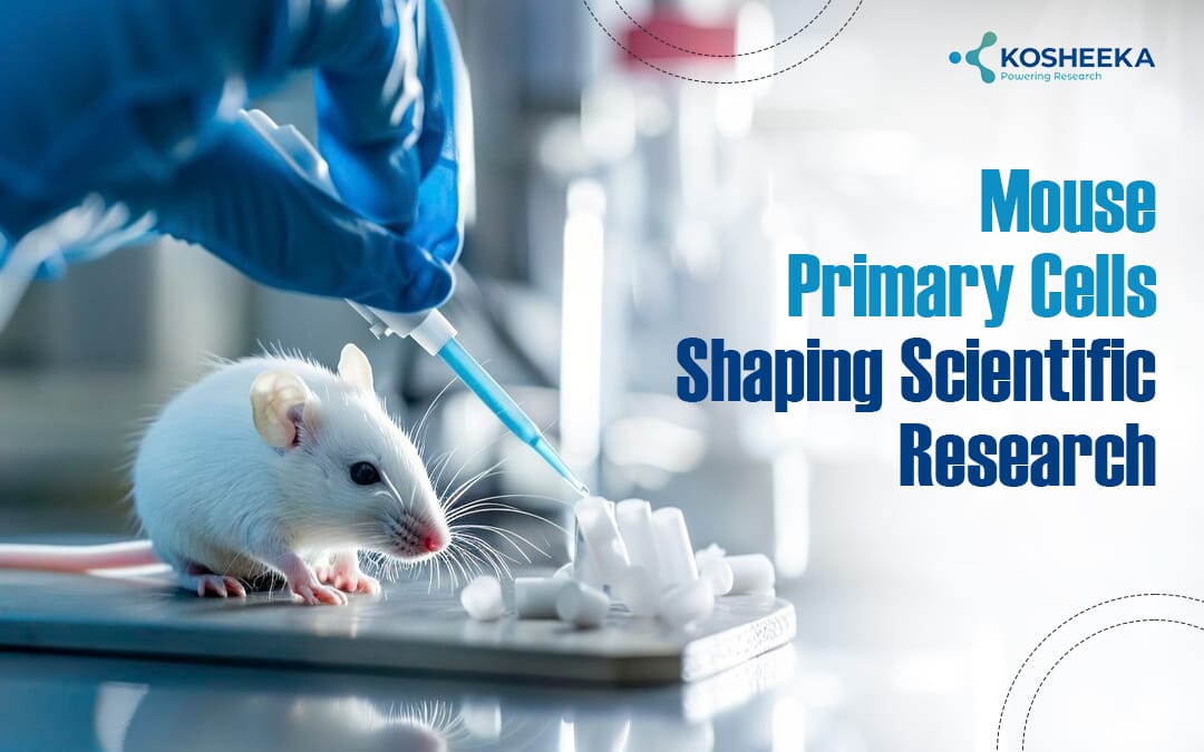 You are currently viewing Mouse Primary Cells Shaping Scientific Research