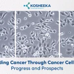 Decoding Cancer Through Cancer Cell Lines: Progress and Prospects