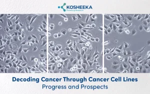 Read more about the article Decoding Cancer Through Cancer Cell Lines: Progress and Prospects