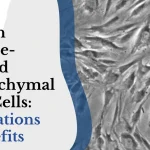 Human Adipose-Derived Mesenchymal Stem Cells: Applications & Benefits