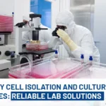 Primary Cell Isolation and Culture Services: Reliable Lab Solutions