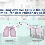 Swine Lung Alveolar Cells: A Biological System to Translate Pulmonary Research