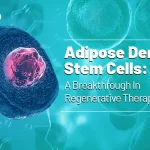 Adipose Derived Stem Cells: A Breakthrough In Regenerative Therapies