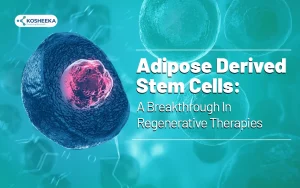 Read more about the article Adipose Derived Stem Cells: A Breakthrough In Regenerative Therapies