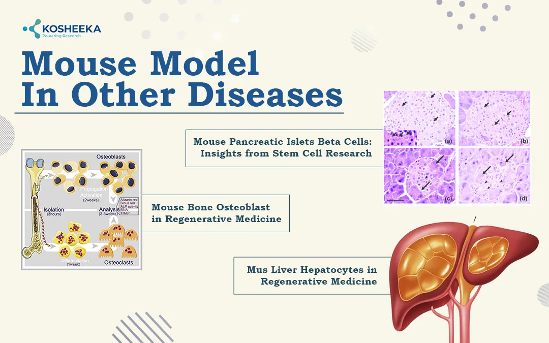 Mouse-Model-in-Other-Diseases