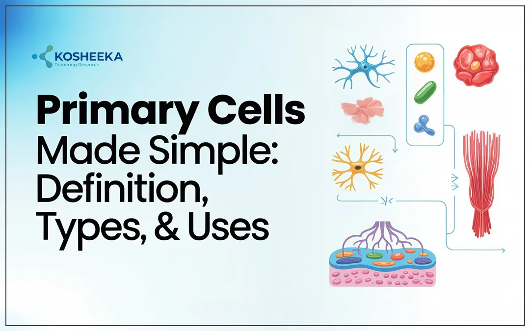 You are currently viewing Primary Cells Made Simple: Definition, Types, and Uses