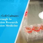 Primary Cell Culture: Breakthrough in Translation Research and Precision Medicine