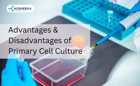 Advantages & Disadvantages of Primary Cell Culture