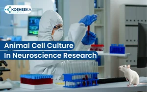 Read more about the article Animal Cell Culture Research: New Hope in Neurodegenerative Disease