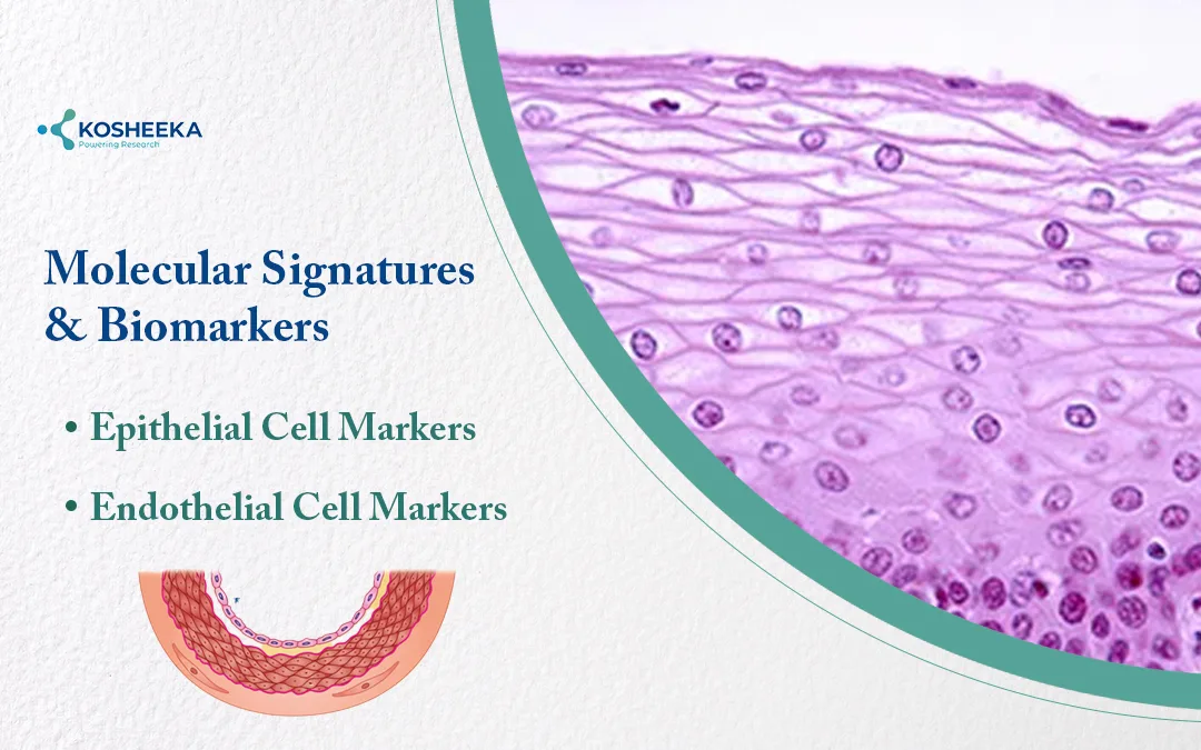 Molecular-Signatures-and-Biomarkers