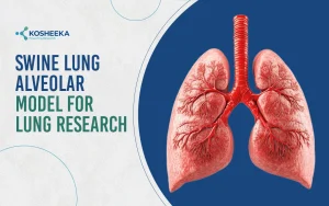 Read more about the article Analysis of Swine Lung Alveolar Cells: Breakthrough in Lung Research
