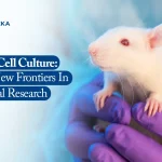 Animal Cell Culture: Paving New Frontiers in Preclinical Research