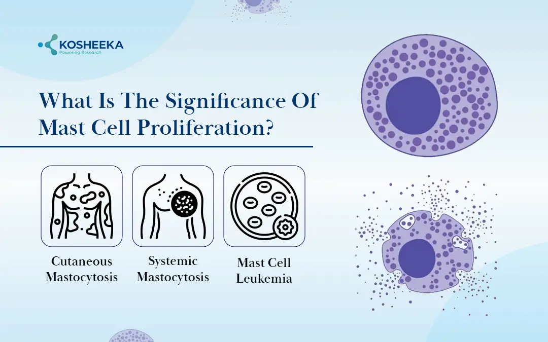 Mast-Cell-Proliferation