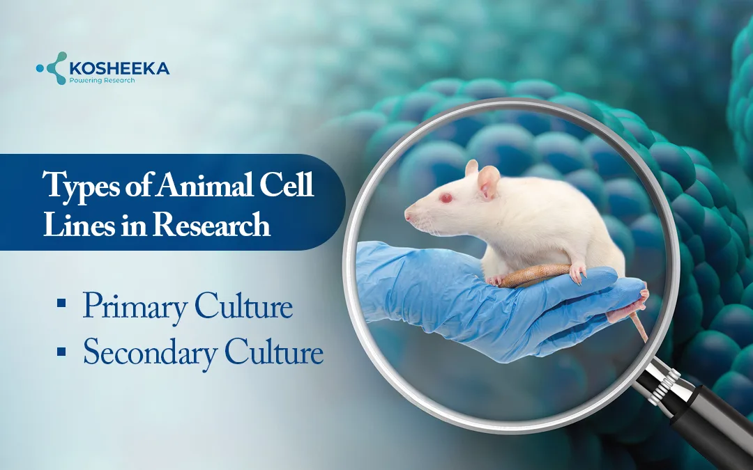 Types-of-Animal-Cell-Lines
