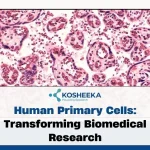 Human Primary Cells: Pioneering Innovation from Bench to Bedside