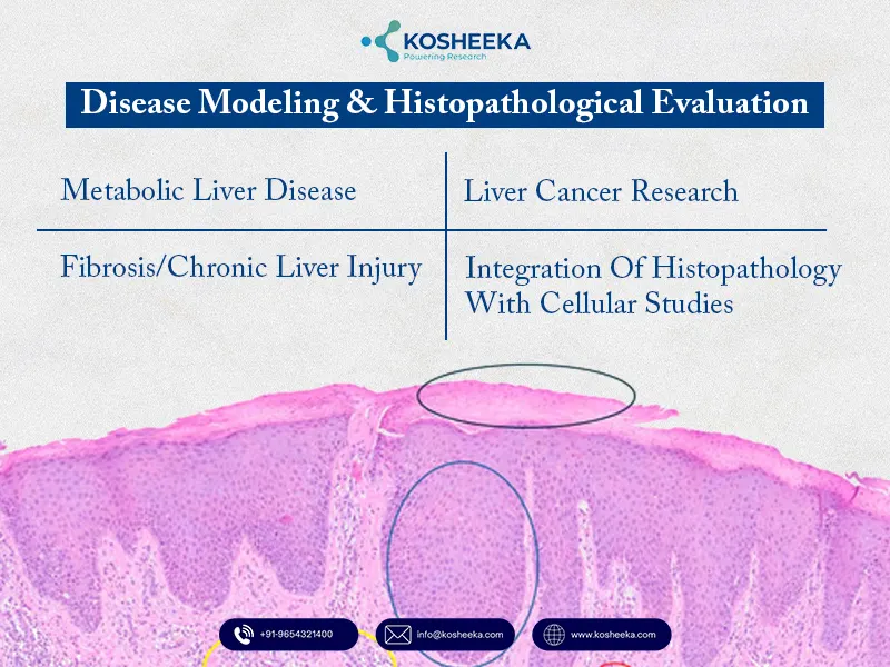 Disease-Modeling-Histopathological-Evaluation