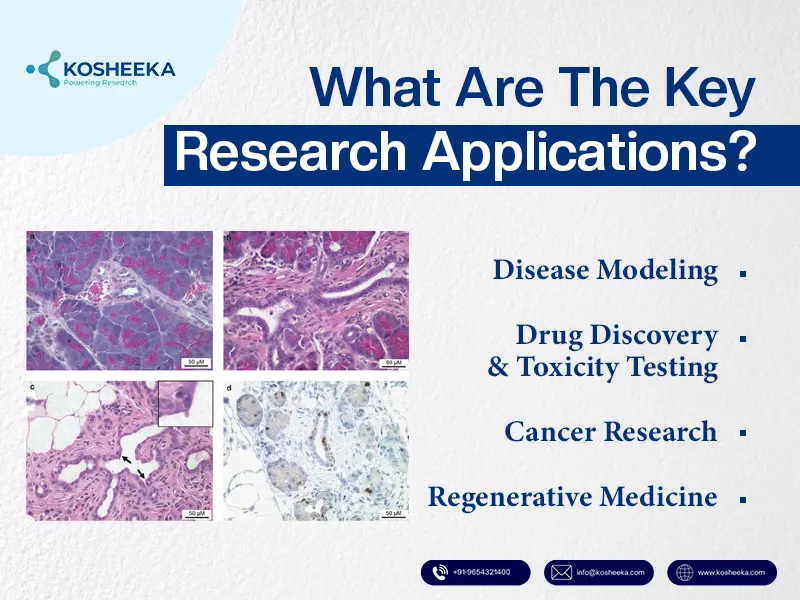 Key-Research-Applications