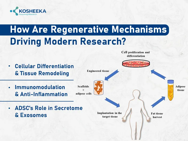 Regenerative-Mechanisms-Driving-Modern-Research