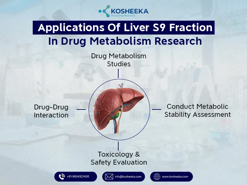 Applications-of-Liver-S9-Fraction